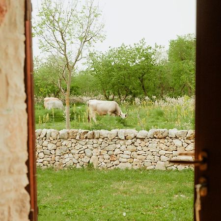 Villa Tenuta Tedone Consolini Ruvo di Puglia Exterior foto