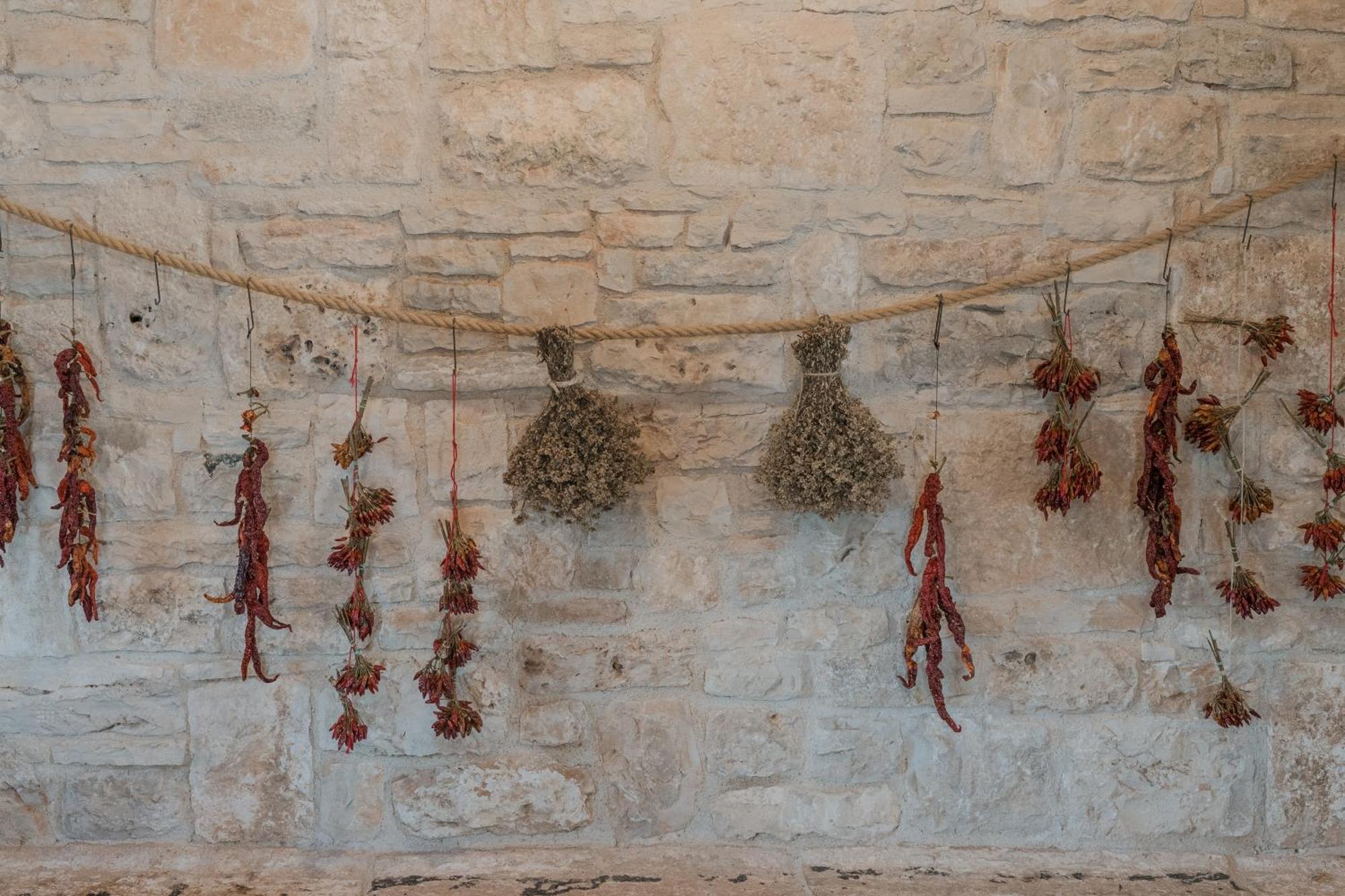 Villa Tenuta Tedone Consolini Ruvo di Puglia Exterior foto