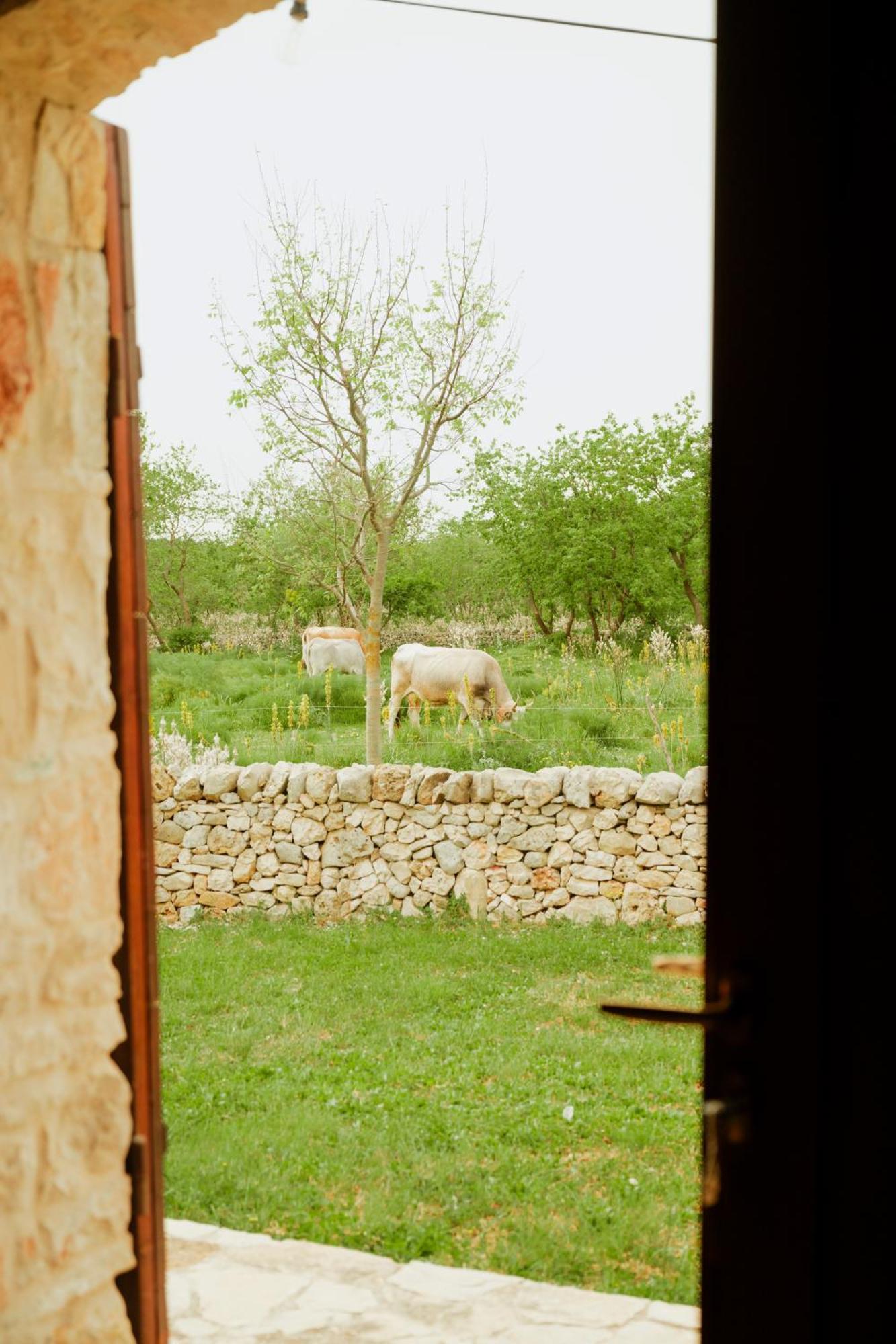 Villa Tenuta Tedone Consolini Ruvo di Puglia Exterior foto