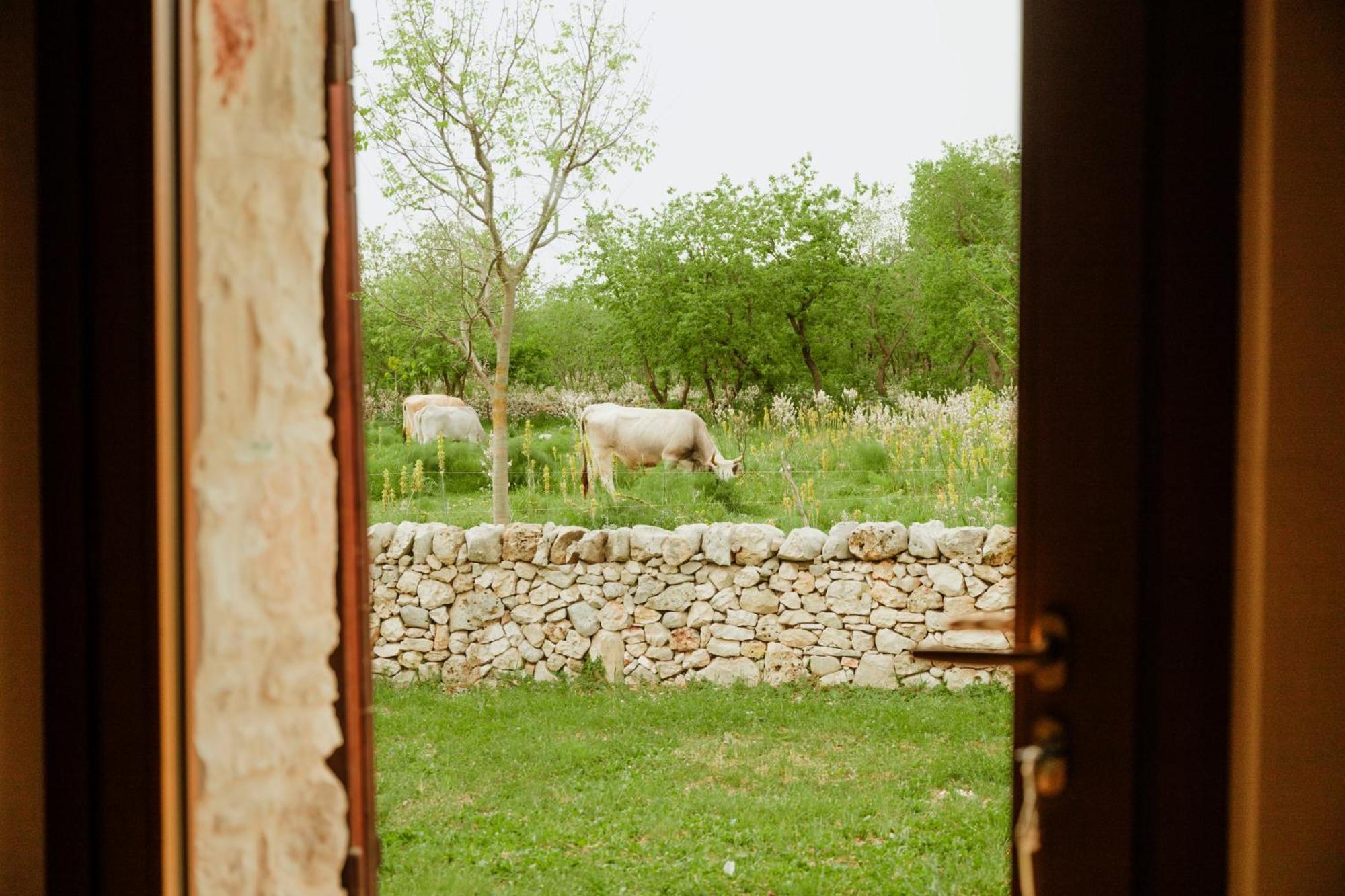 Villa Tenuta Tedone Consolini Ruvo di Puglia Exterior foto