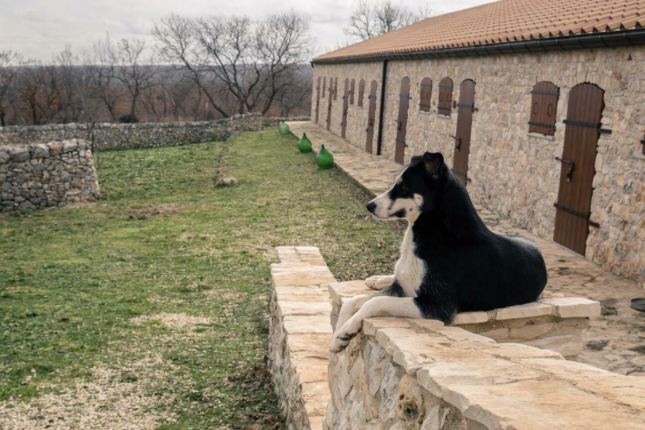 Villa Tenuta Tedone Consolini Ruvo di Puglia Exterior foto