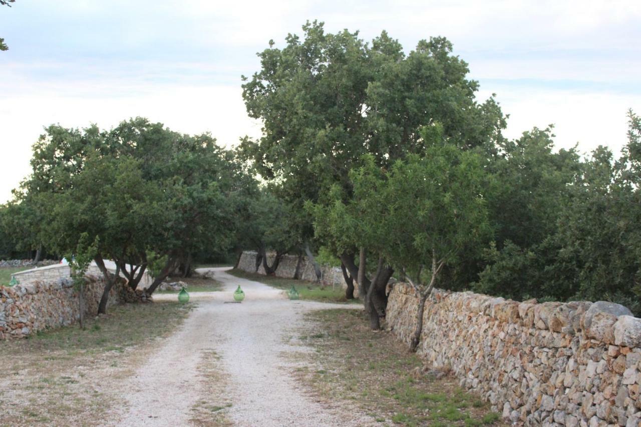 Villa Tenuta Tedone Consolini Ruvo di Puglia Exterior foto