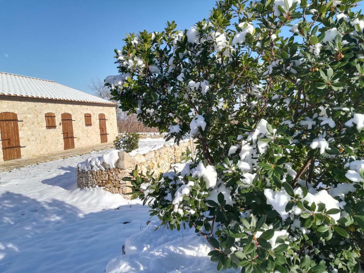 Villa Tenuta Tedone Consolini Ruvo di Puglia Exterior foto